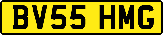 BV55HMG