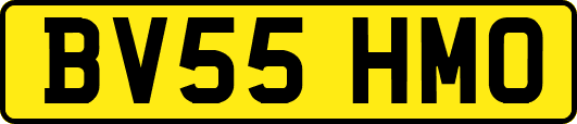 BV55HMO
