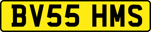 BV55HMS