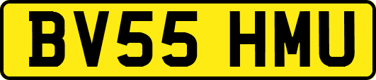 BV55HMU