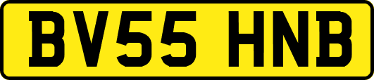 BV55HNB