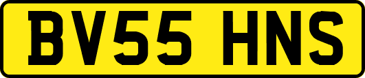 BV55HNS