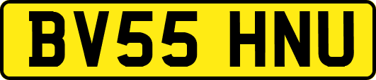 BV55HNU
