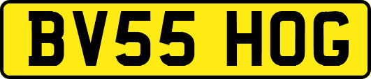 BV55HOG