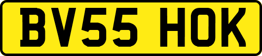 BV55HOK