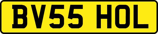 BV55HOL
