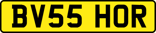 BV55HOR