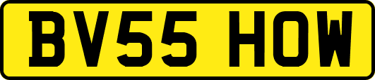BV55HOW