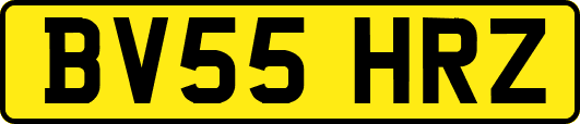 BV55HRZ