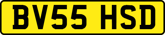 BV55HSD