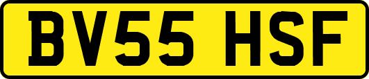 BV55HSF