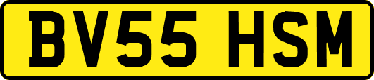 BV55HSM