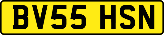 BV55HSN