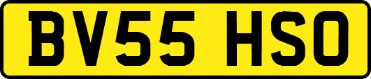 BV55HSO