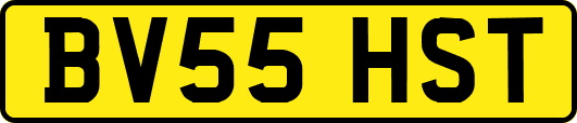 BV55HST