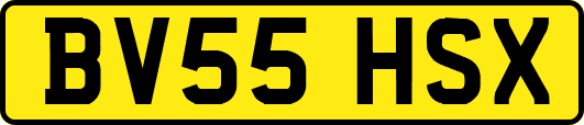 BV55HSX