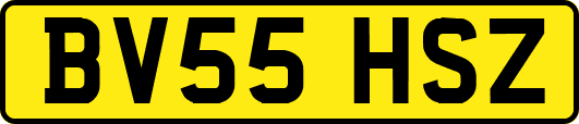 BV55HSZ
