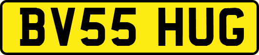 BV55HUG