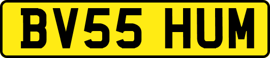 BV55HUM