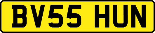 BV55HUN