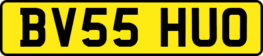 BV55HUO