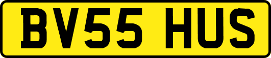 BV55HUS