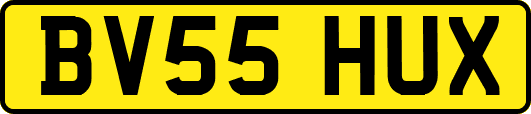 BV55HUX