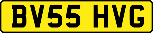 BV55HVG