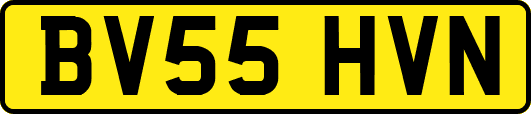 BV55HVN
