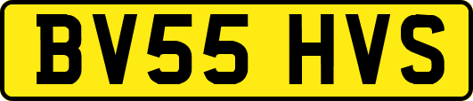 BV55HVS