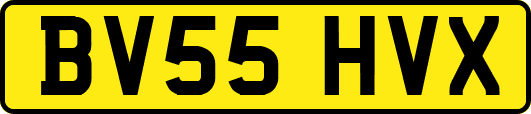 BV55HVX