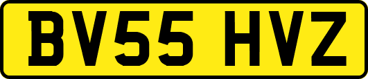BV55HVZ