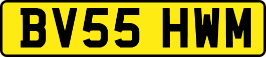 BV55HWM