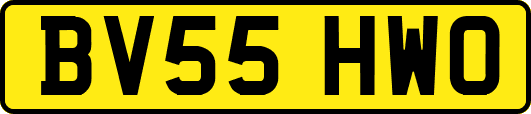 BV55HWO