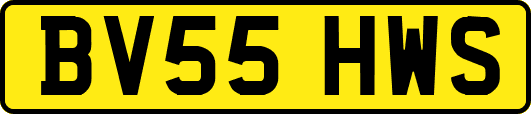 BV55HWS