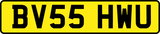 BV55HWU