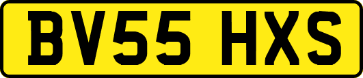 BV55HXS