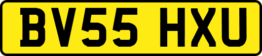 BV55HXU