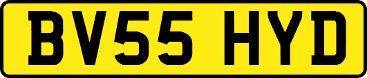 BV55HYD
