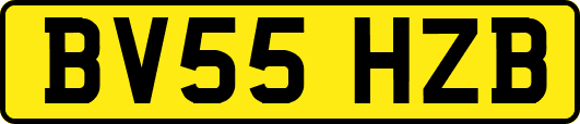 BV55HZB