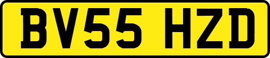 BV55HZD
