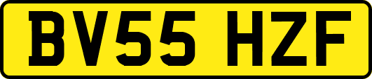 BV55HZF