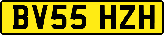 BV55HZH