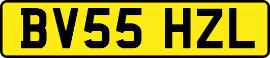 BV55HZL