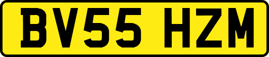 BV55HZM