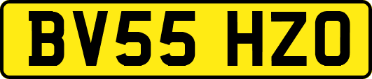 BV55HZO