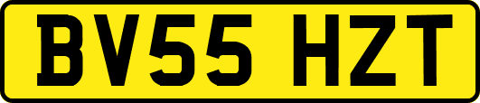BV55HZT