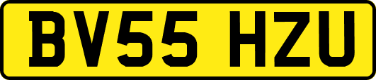 BV55HZU