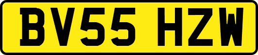 BV55HZW