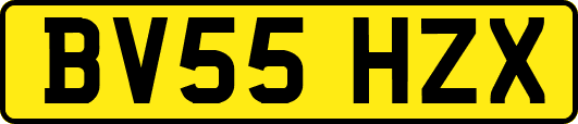 BV55HZX